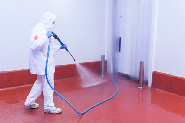 Best Spring Cleaning  in Orcutt, CA